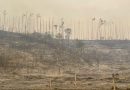 Incêndio atinge nova área do Inpe, em Cachoeira Paulista