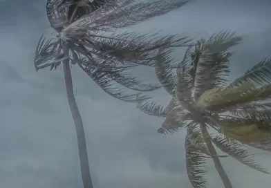 Defesa Civil faz alerta para ventos de até 65 km/h no Vale do Paraíba e Litoral Norte