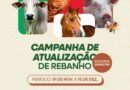Prefeitura de Queluz inicia Campanha de Atualização de Rebanhos
