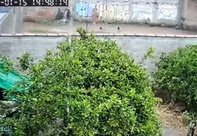 Corpo de menino de 7 anos é encontrado após ser arrastado por enxurrada em Pouso Alegre