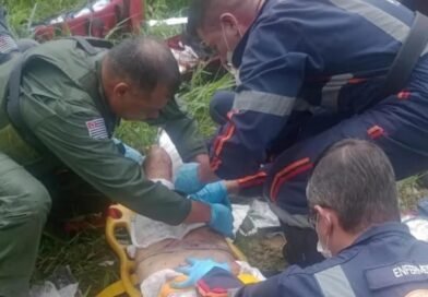 Idosa é atacada por cães e fica em estado gravíssimo em São José dos Campos