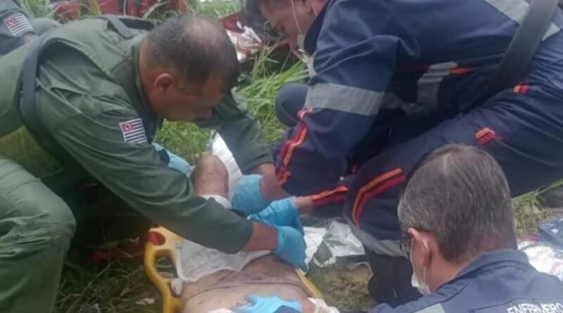 Idosa é atacada por cães e fica em estado gravíssimo em São José dos Campos