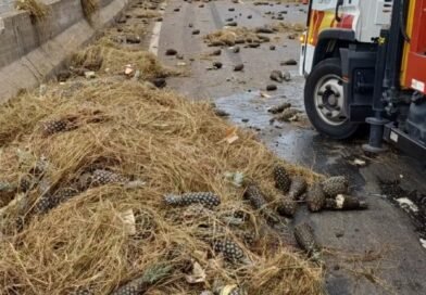 Caminhão carregado com abacaxis bate na mureta da Dutra em Guaratinguetá Caminhão carregado com abacaxis bate na mureta da Dutra em Guaratinguetá