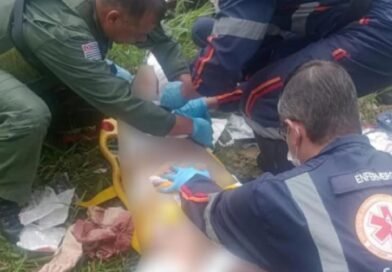 Tutor de pitbulls que atacaram e mataram mulher responderá por homicídio em São José