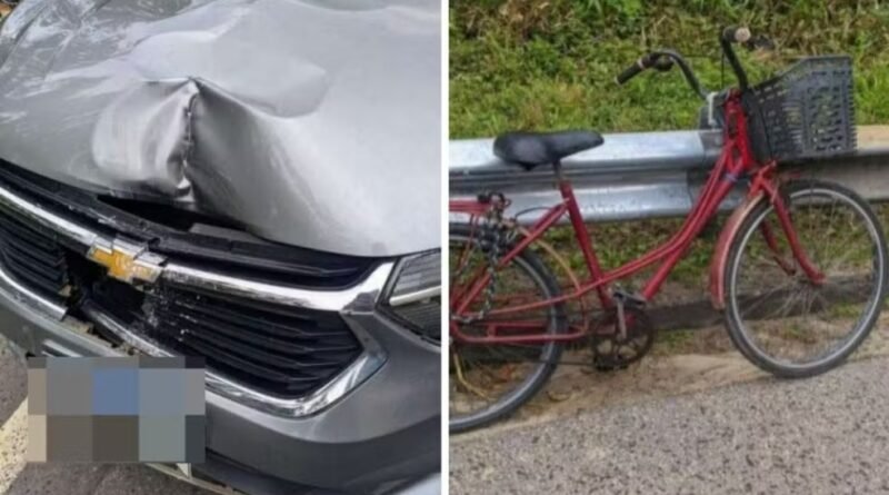 Idoso morre após ser atropelado na Rodovia Rio-Santos, em Ubatuba