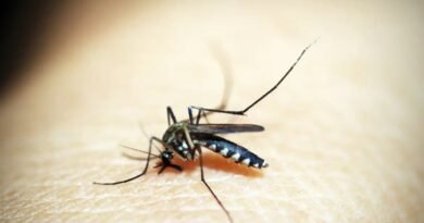 Taubaté confirma mais duas mortes por dengue e chega a seis óbitos em 2026