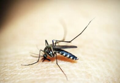 Taubaté confirma quarta morte por dengue em 2026