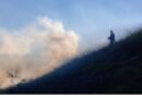 Incêndio em área de mata mobiliza Bombeiros e GCM em Cruzeiro
