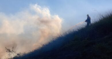 Incêndio em área de mata mobiliza Bombeiros e GCM em Cruzeiro Incêndio em área de mata mobiliza Bombeiros e GCM em Cruzeiro