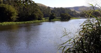 Corpo em avançado estado de decomposição é encontrado no Rio Paraíba, em Lavrinhas