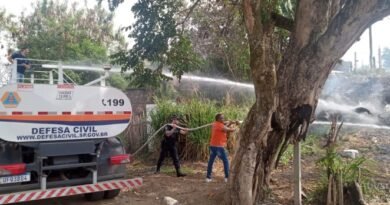 Defesa Civil e GCM controlam incêndio em área de mata próximo a residências em Cruzeiro