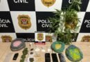 DISE prende homem e apreende adolescente por tráfico de drogas no Itagaçaba em Cruzeiro